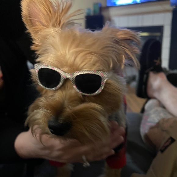 Meet your Posher, Myndee - Picture 3 of 6